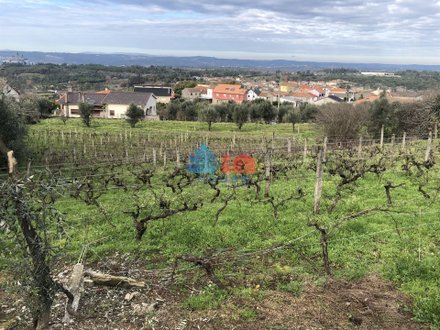 Земельный участок 4990м² в Мангуалди, Португалия № 91809