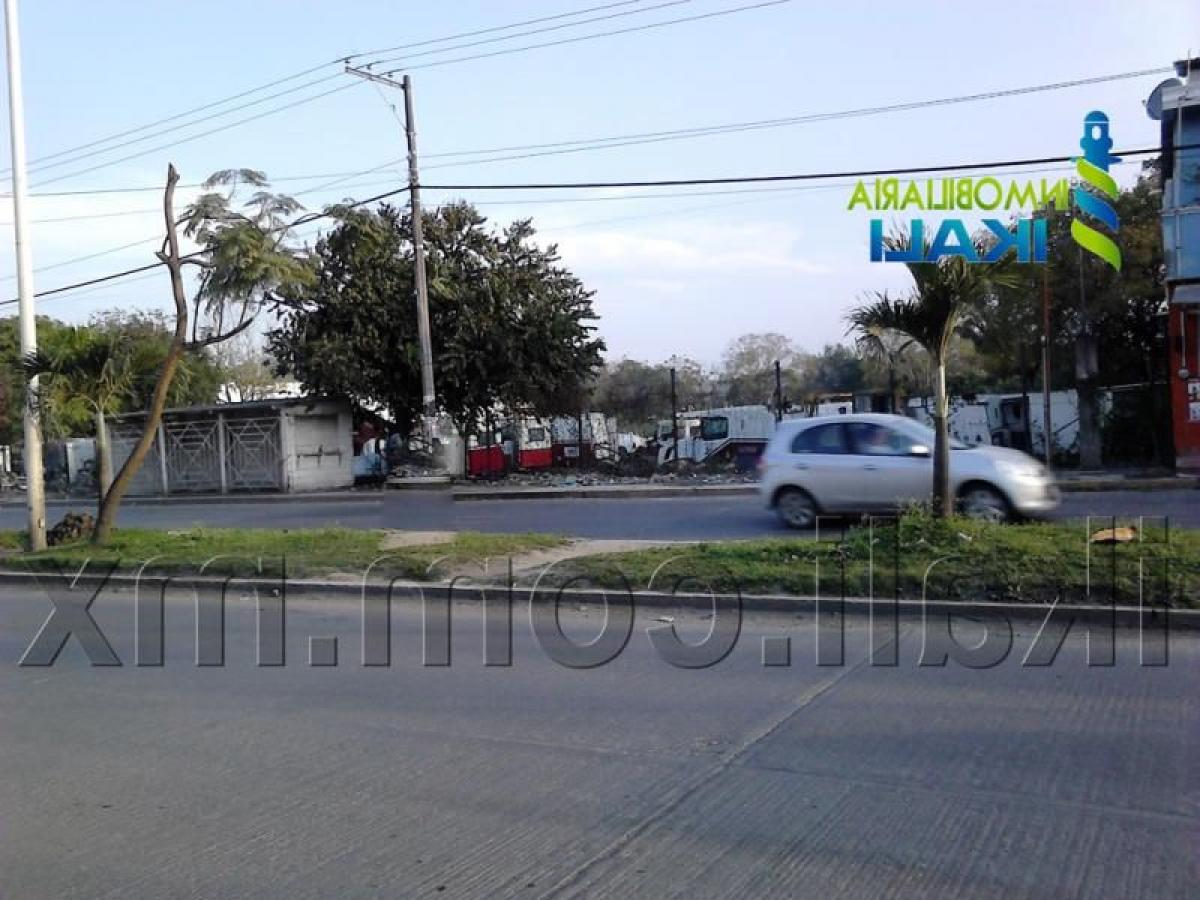 Terrain à Veracruz, Mexico No. 204607