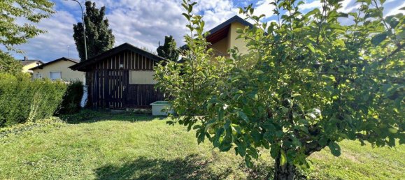 5غرفة منزل في Tulln an der Donau, Austria رقم 232589 6