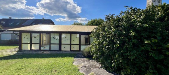 5غرفة منزل في Tulln an der Donau, Austria رقم 232589 7