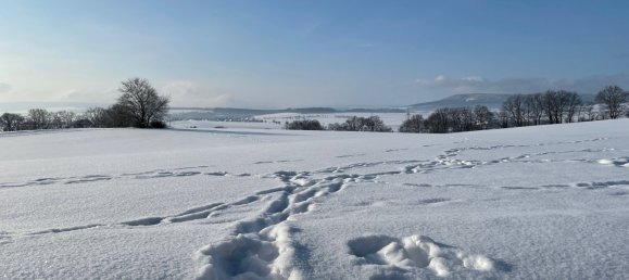 Hotel in Schaumburg, Germany 4710m², Nr. 192872 34