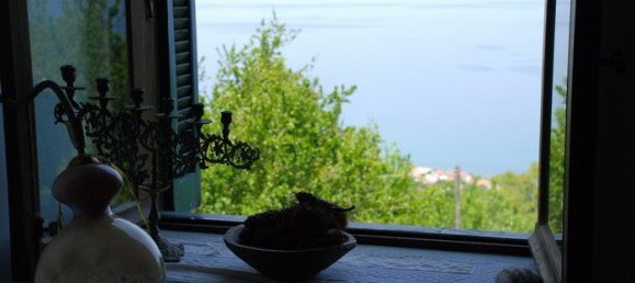 Коммерческая недвижимость с 7 спальнями в Загора, Греция № 7635 25