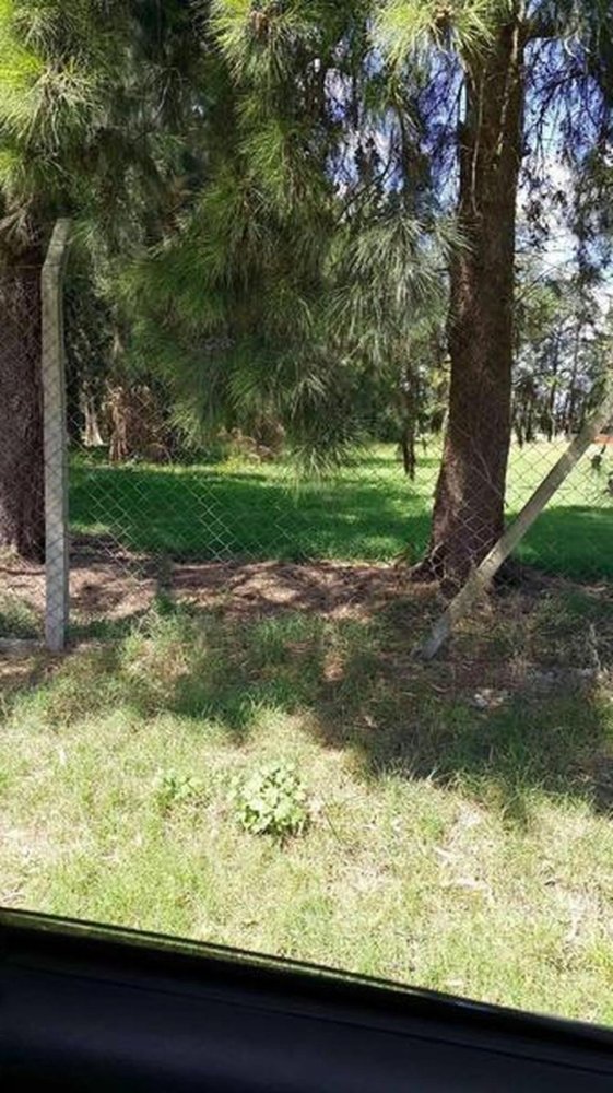  Land in Esteban Echeverria, Argentina No. 36014