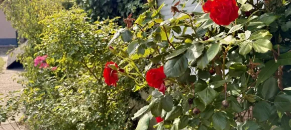 Casa T2 em Cottbus, Germany N.º 371814 11