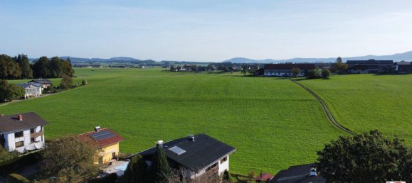 6-Zimmer Haus in Seekirchen am Wallersee, Austria, Nr. 93149 16