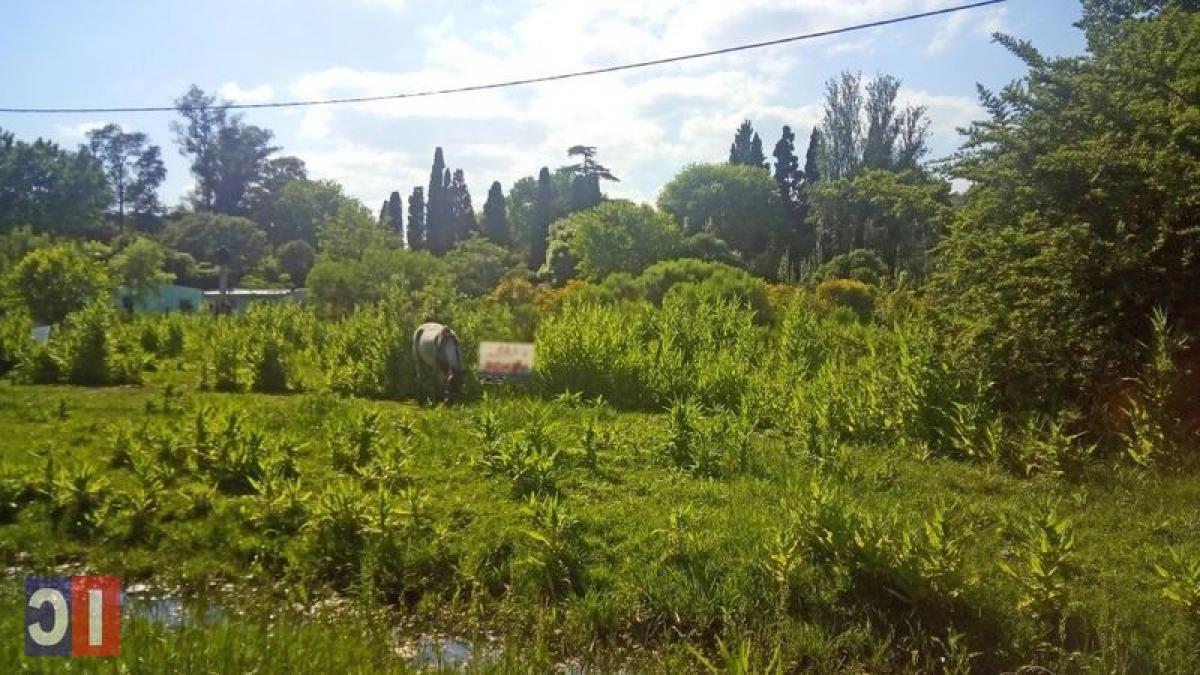  Land in General Rodriguez, Argentina No. 42754