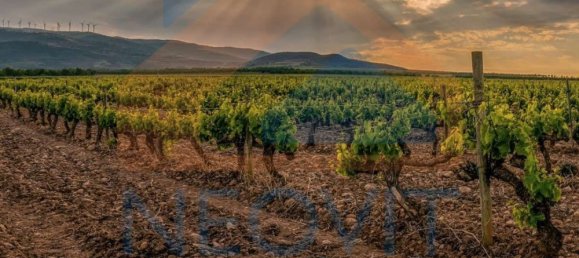 Terrain à Cornate d'Adda, Italy 16260m² No. 314733 4