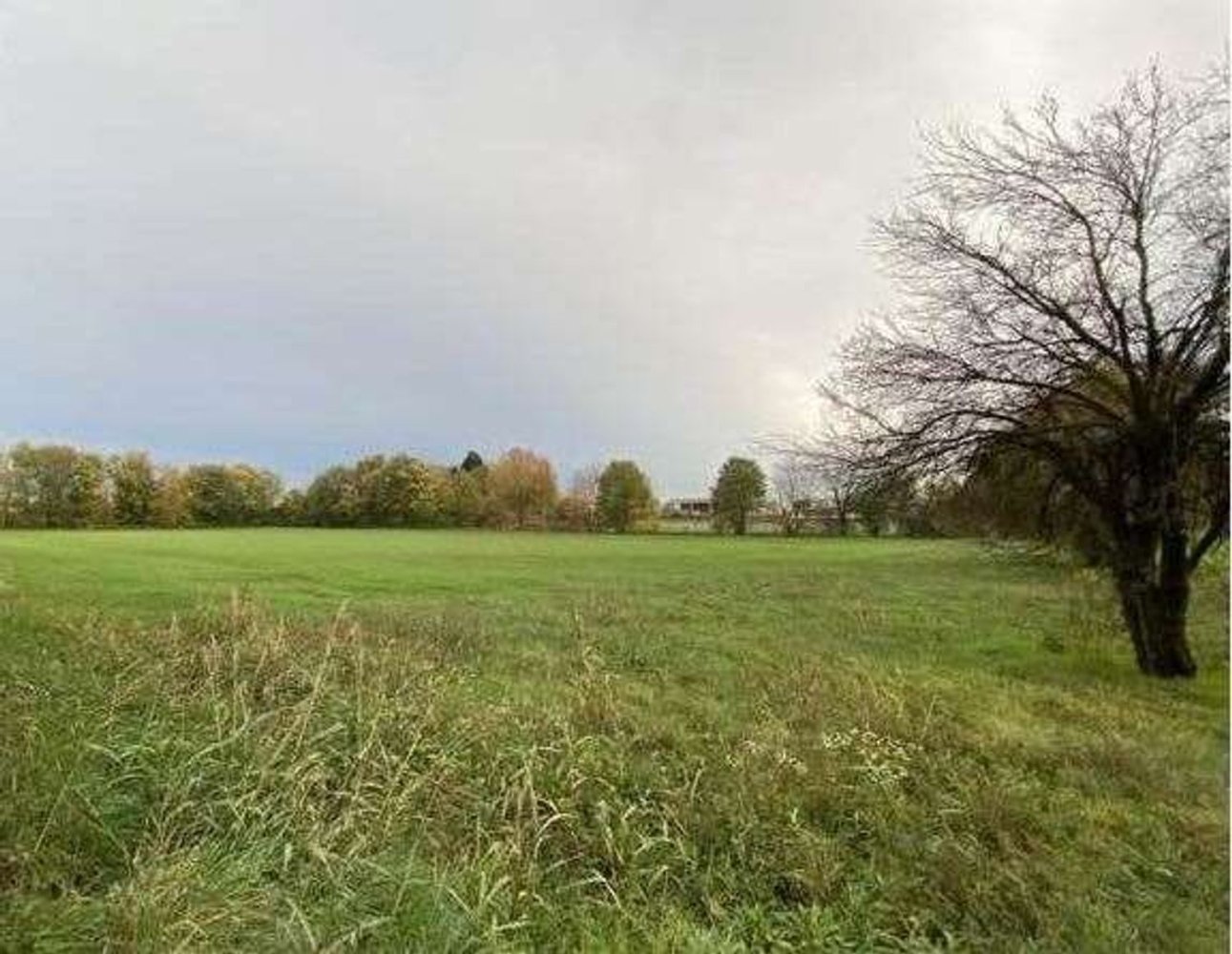 Terrain à Cornate d'Adda, Italy 16260m² No. 314733