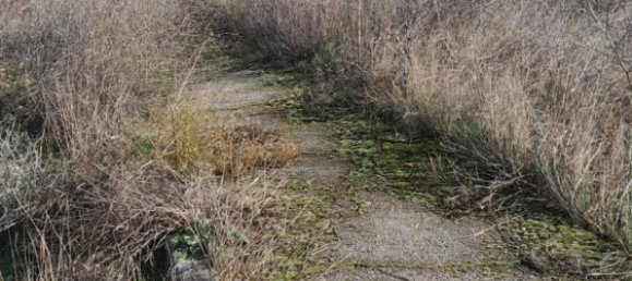 890m² Land in Avezzano, Italy No. 104753 2