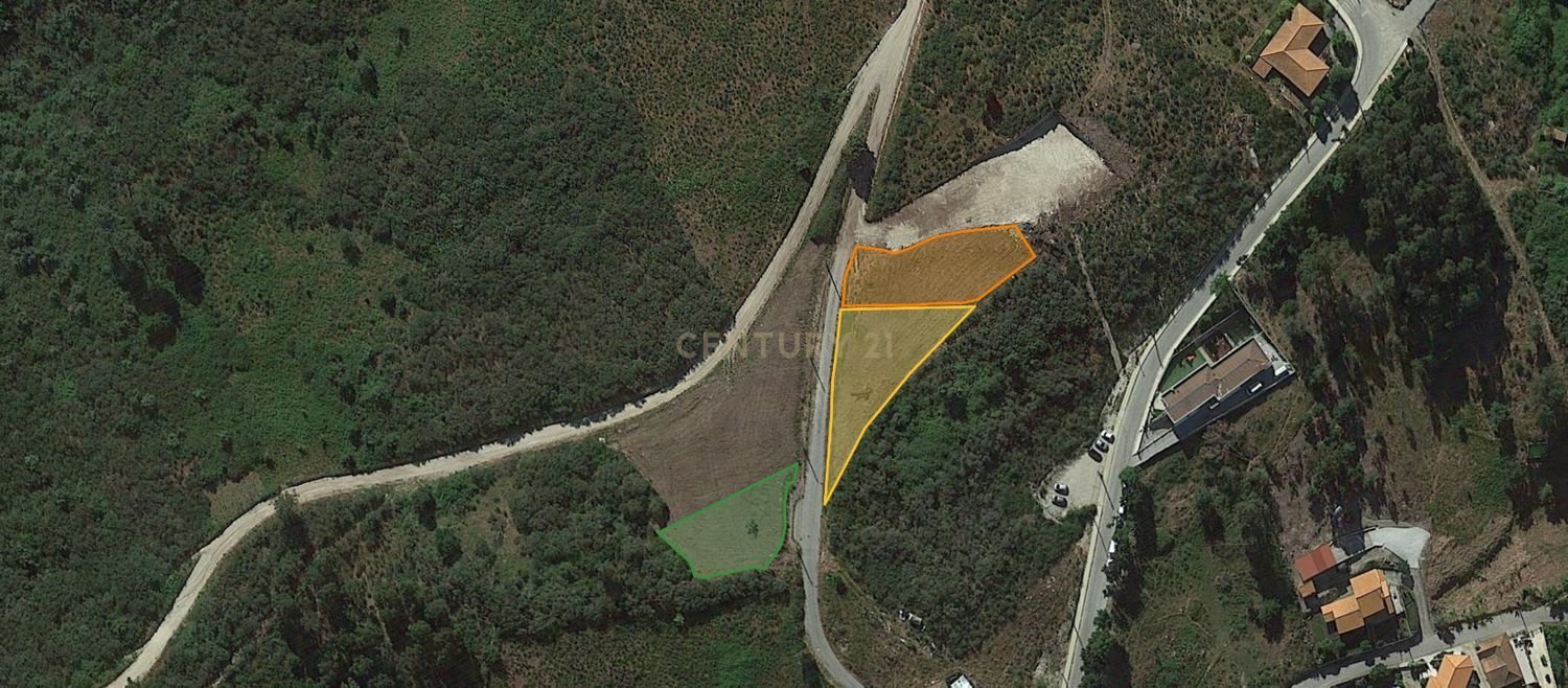  Land in Baiao, Portugal No. 211719