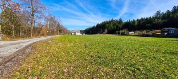 Land in Pondorf, Austria No. 67768 5