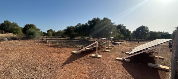 4 bedrooms House in Llucmajor, Spain No. 143762 34