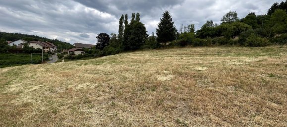 Terreno en Ban-de-Laveline, France 2758 m² No. 91592 3