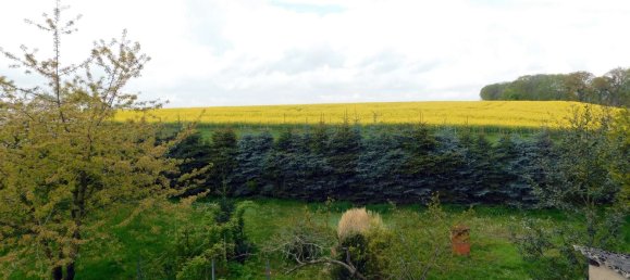 Дом с 3 спальнями в Мекленбургское Поозёрье, Германия № 176868 13