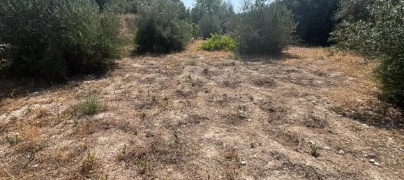 4 bedrooms House in Cocentaina, Spain No. 163628 4