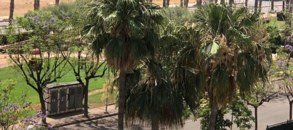 2 bedrooms Penthouse in Marina d'Or, Spain No. 162752 22