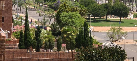 2 bedrooms Penthouse in Marina d'Or, Spain No. 162752 21