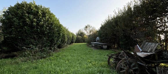 4 rooms House in Colorno, Italy No. 234919 6