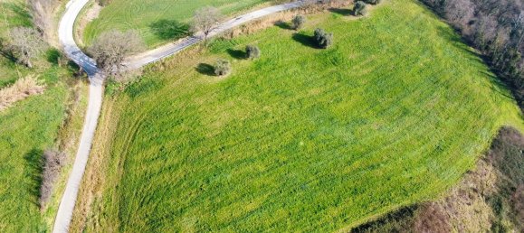 Дом с 8 комнатами в Монтефельчино, Италия № 143784 3