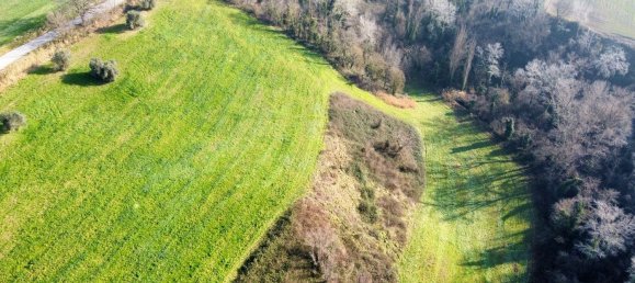 Дом с 8 комнатами в Монтефельчино, Италия № 143784 4