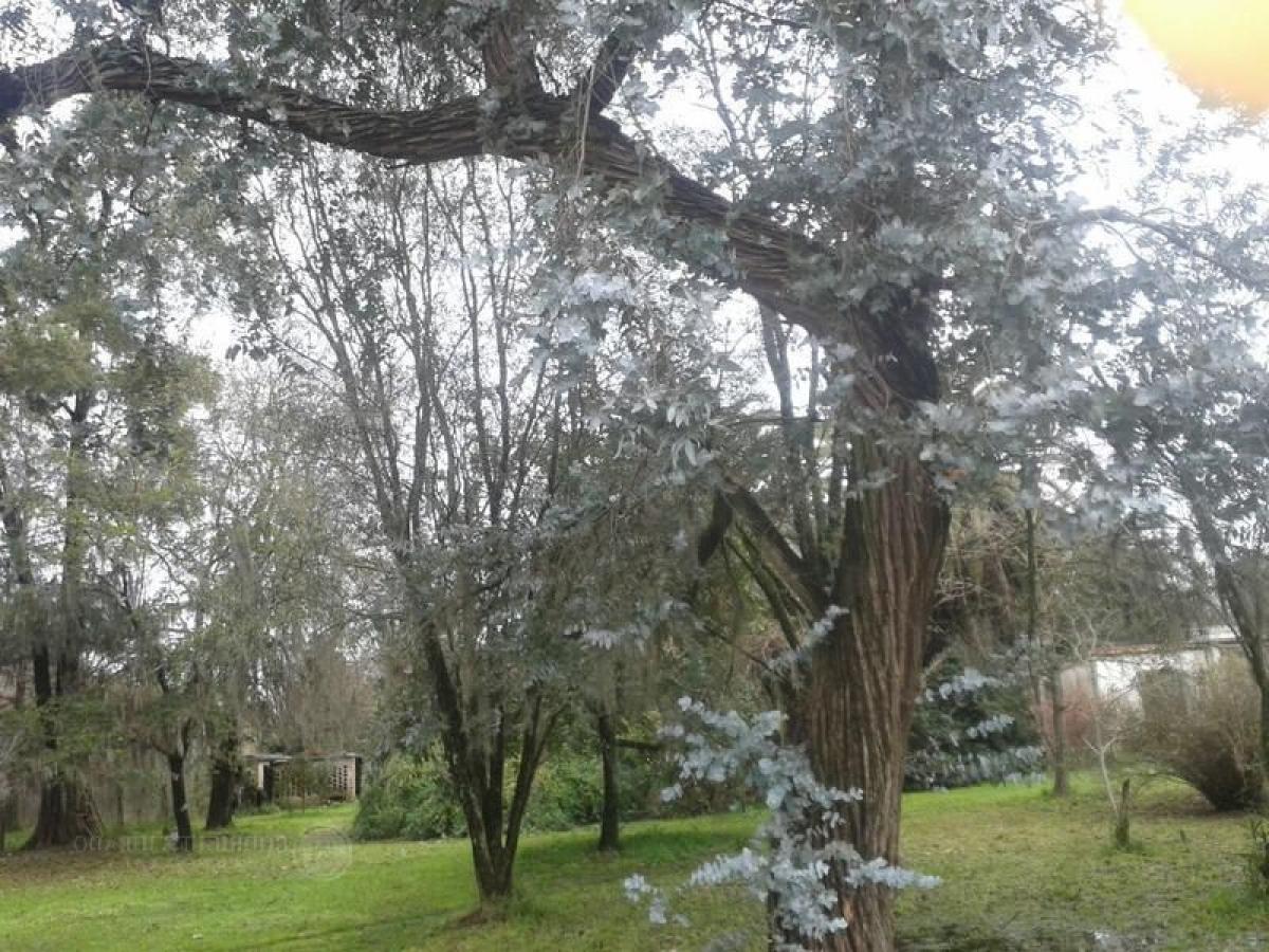 Grundstück in Escobar, Argentina, Nr. 113613