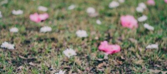  Land in Leoben, Austria No. 163000 9