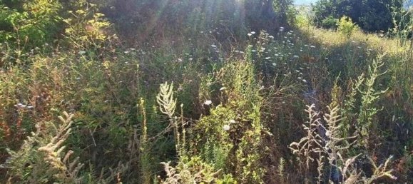 Земельный участок 1580м² в Камерино, Италия № 373445 7