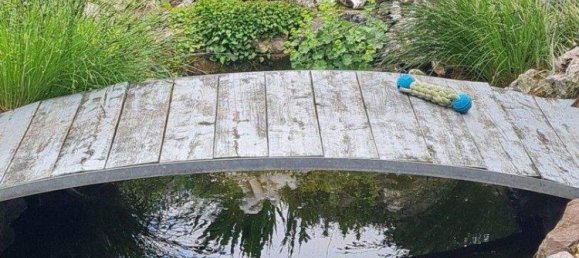 6 rooms House in Vienna, Austria No. 222302 6