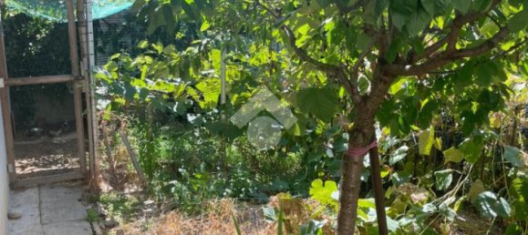 1 bedroom Apartment in Cardano al Campo, Italy No. 305677 5