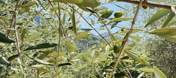 1 Schlafzimmer Wohnung in Louviers, France, Nr. 290632 4