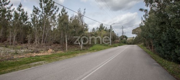 Grundstück in Vila Nova de Poiares, Portugal 18145m², Nr. 61403 15