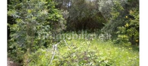 3 bedrooms Villa in Velletri, Italy No. 336626 7