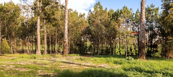 3454m² Land in Alcacer do Sal, Portugal No. 101118 24