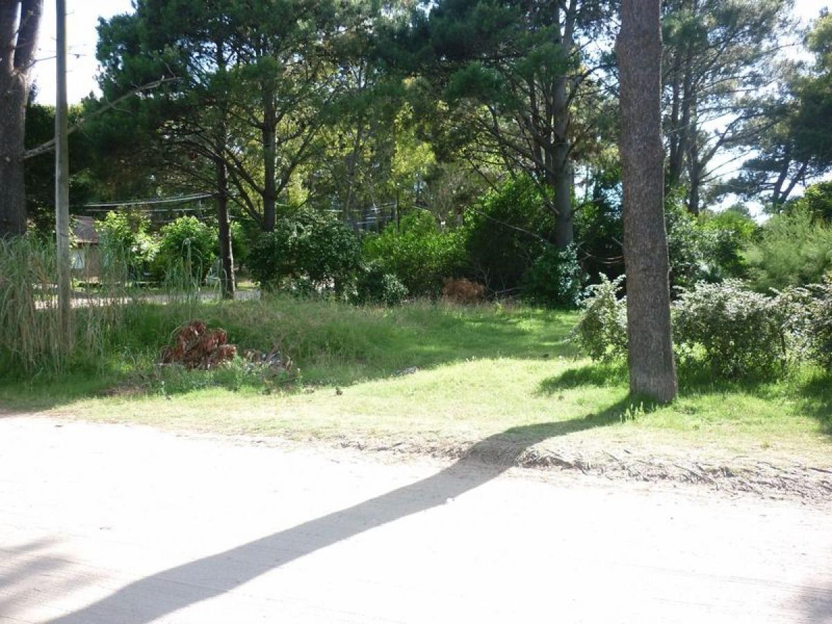  Land in Mar del Plata, Argentina No. 115045