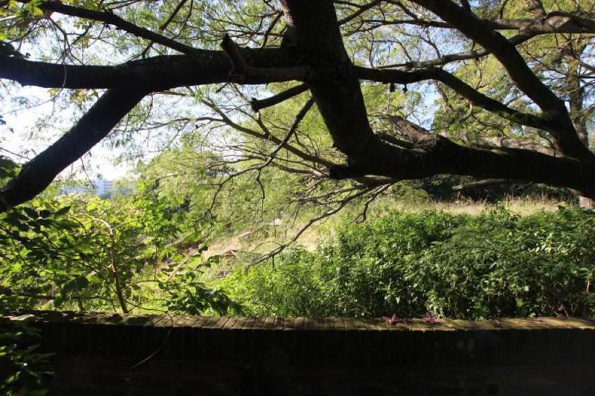  قطعة أرض في San Isidro, Argentina رقم 40818