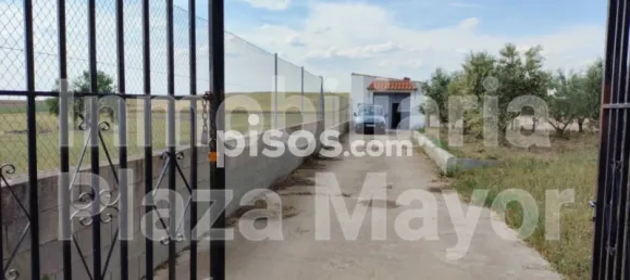 Terrain à Villares de la Reina, Spain No. 62441 17