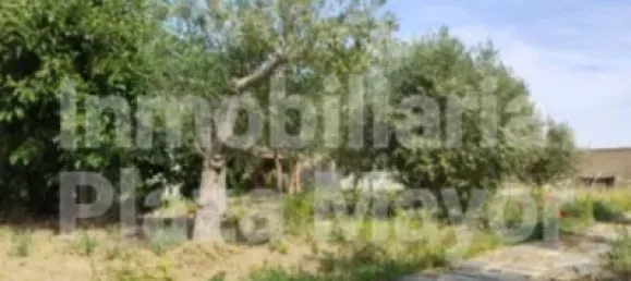 Terrain à Villares de la Reina, Spain No. 62441 20