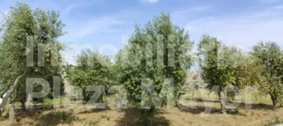 Terrain à Villares de la Reina, Spain No. 62441 8