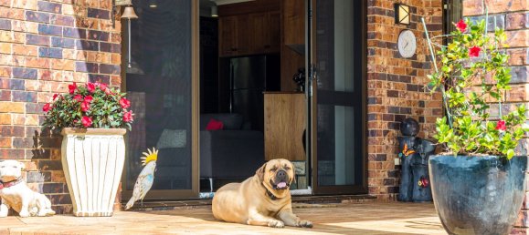 5 bedrooms Farm in Stokers Siding, Australia No. 734 4