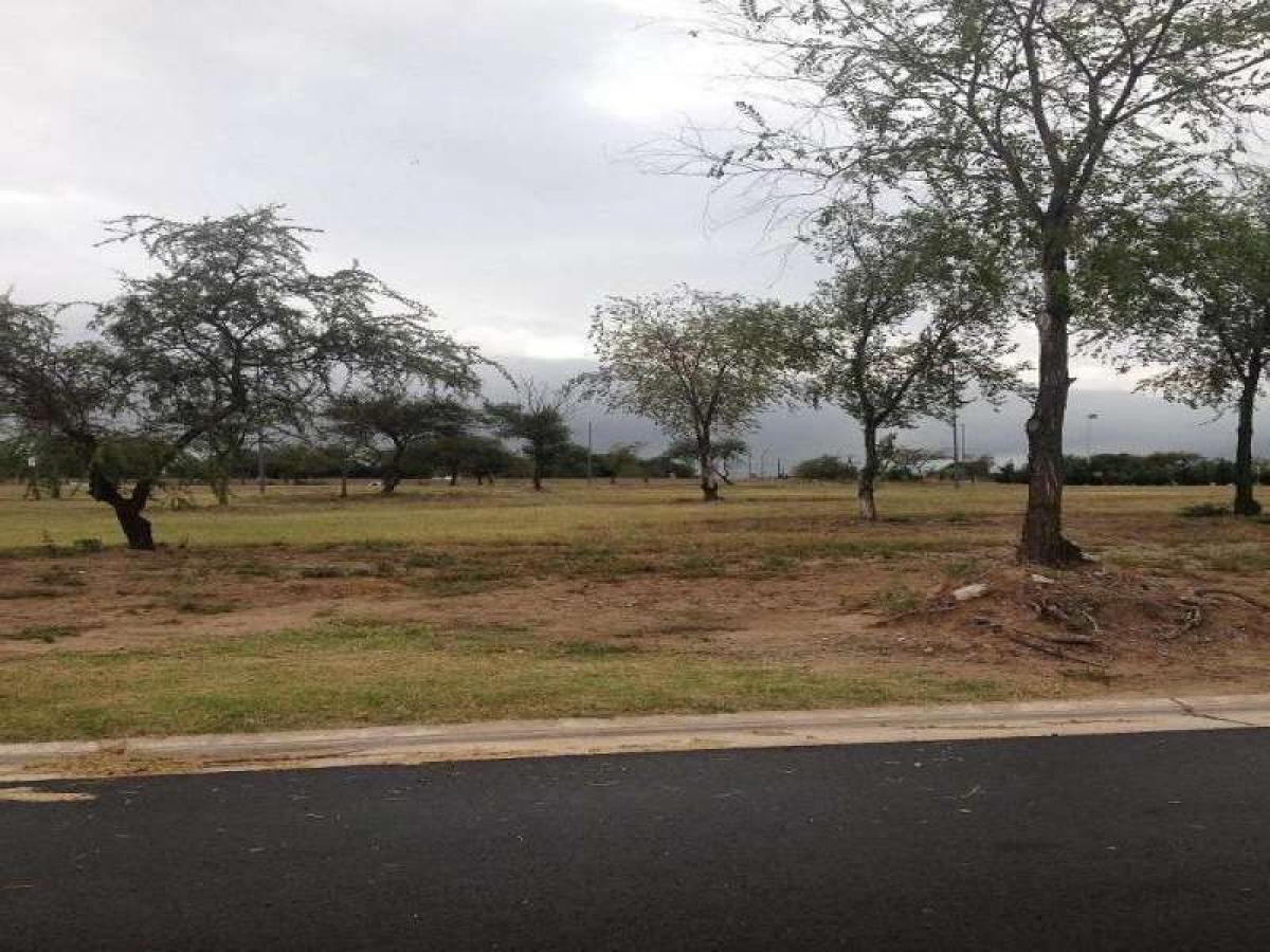 Terrain à Cordoba, Argentina No. 42513