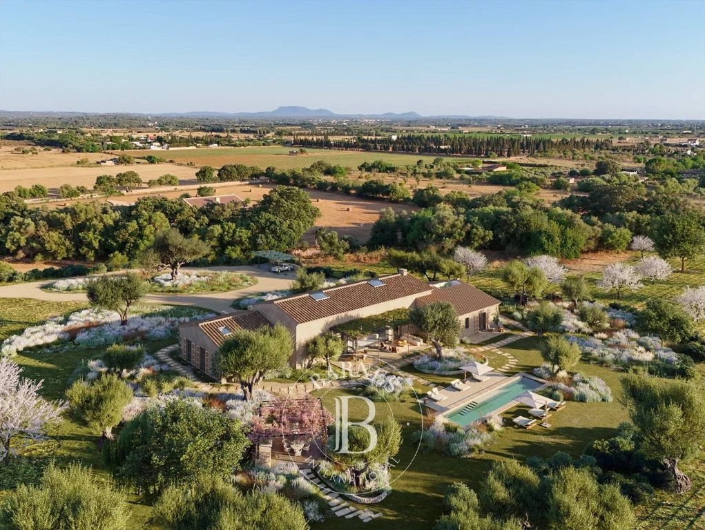 47231m² Land in Binissalem, Spain No. 242077