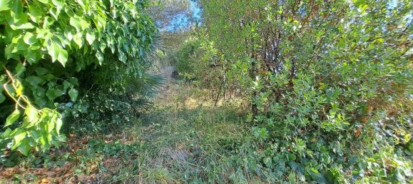 4 rooms House in Rosignano Marittimo, Italy No. 262436 22