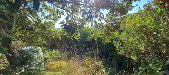 4 rooms House in Rosignano Marittimo, Italy No. 262436 23