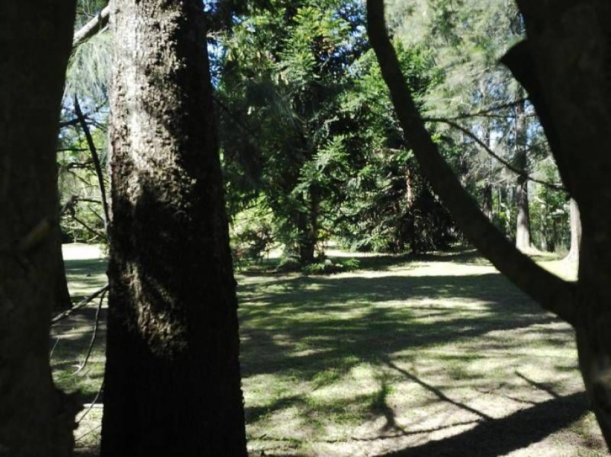  Land in Marcos Paz, Argentina No. 42304