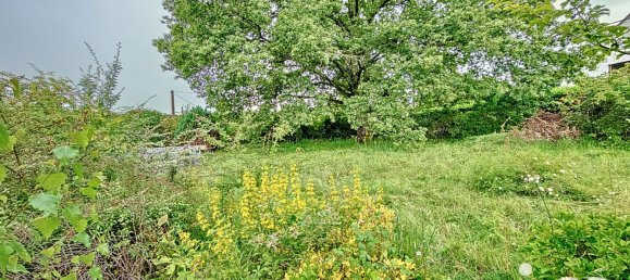 1 bedroom House in Yonne, France No. 289463 9