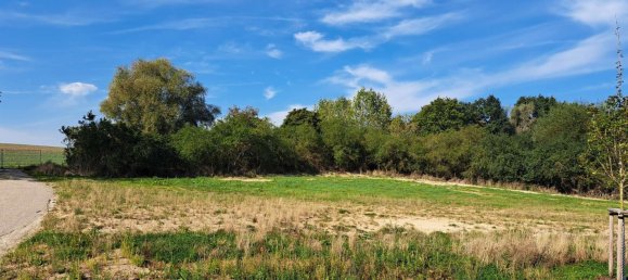 Terreno em Nordwestmecklenburg, Germany N.º 138360 5