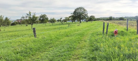 Grundstück in Laneuveville-aux-Bois, France 6000m², Nr. 90162 5