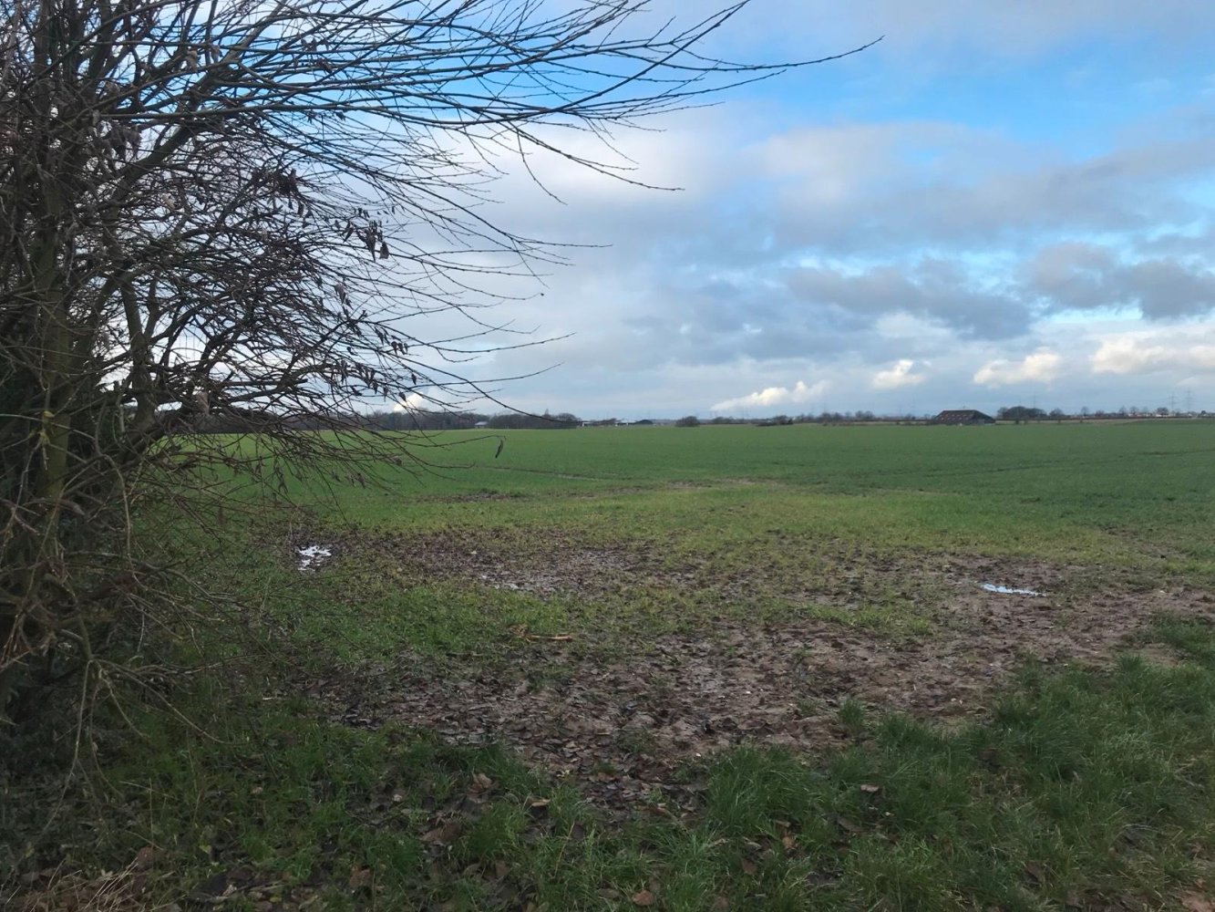 Grundstück in Cologne, Germany, Nr. 363626