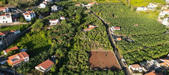 Grundstück in Calheta, Portugal, Nr. 257923 11