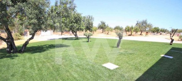 7 bedrooms House in Silves, Portugal No. 173213 14